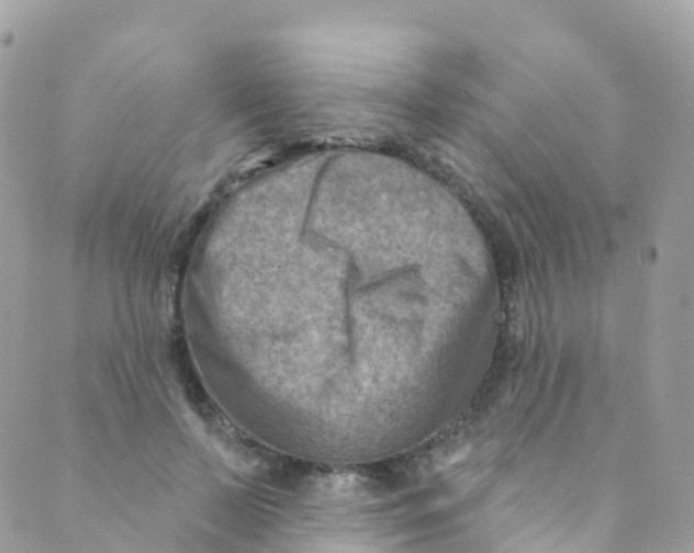 X0000089440695200707061409