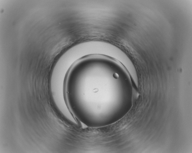 X0000089440696200707061409