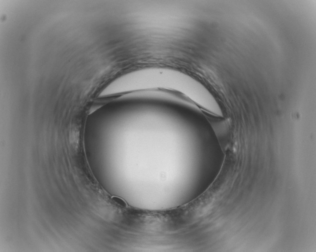 X0000089440697200707061409