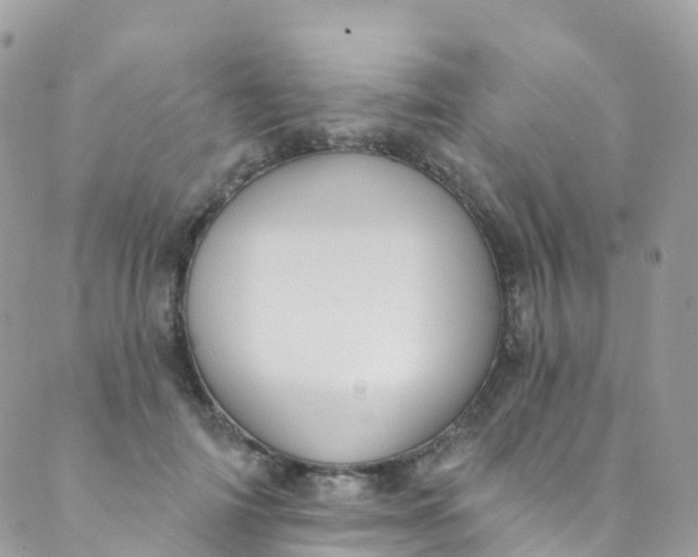 X0000089440698200707061409