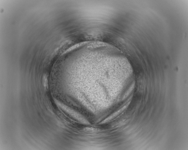 X0000089440699200707061409