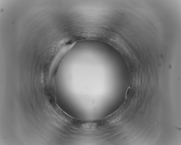 X0000089440700200707061409