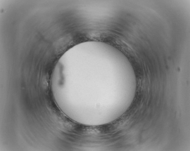 X0000089440702200707061409