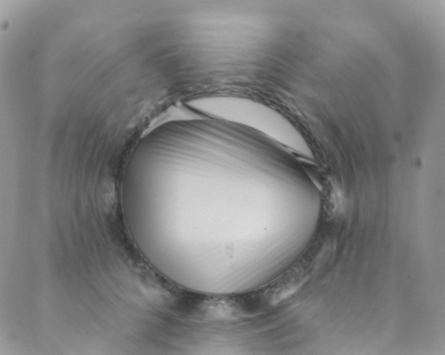 X0000089440704200707061408