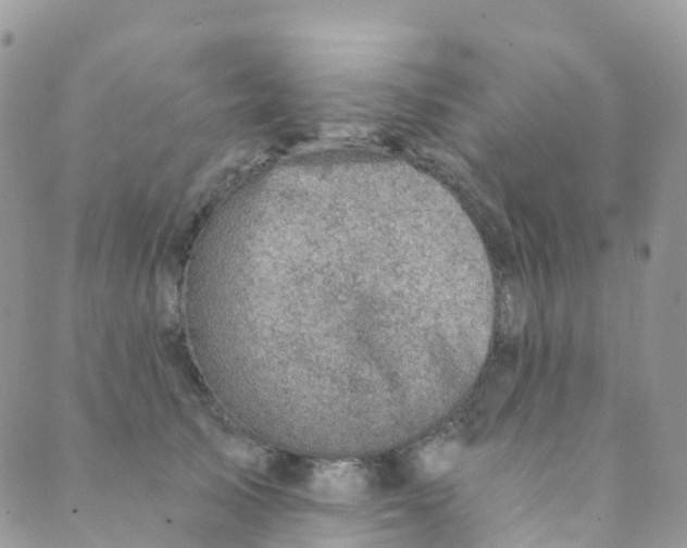 X0000089440705200707061408