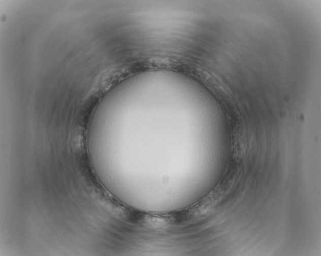 X0000089440706200707061408