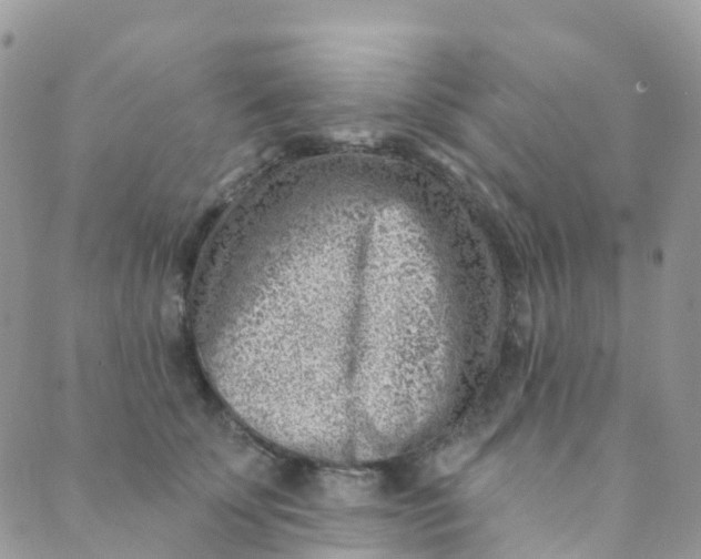 X0000089440707200707061408