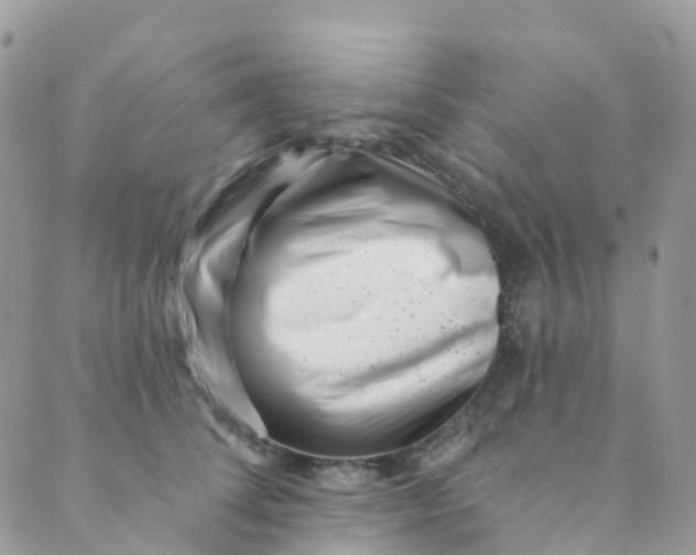 X0000089440708200707061408