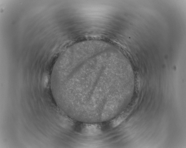 X0000089440709200707061408