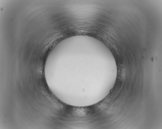 X0000089440710200707061408