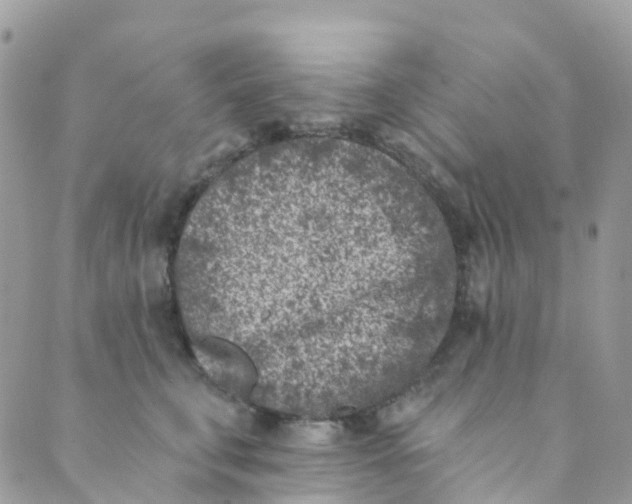 X0000089440711200707061408