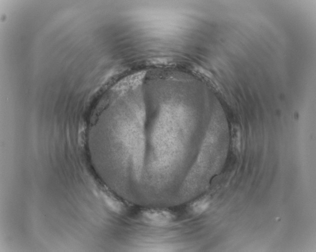 X0000089440712200707061408