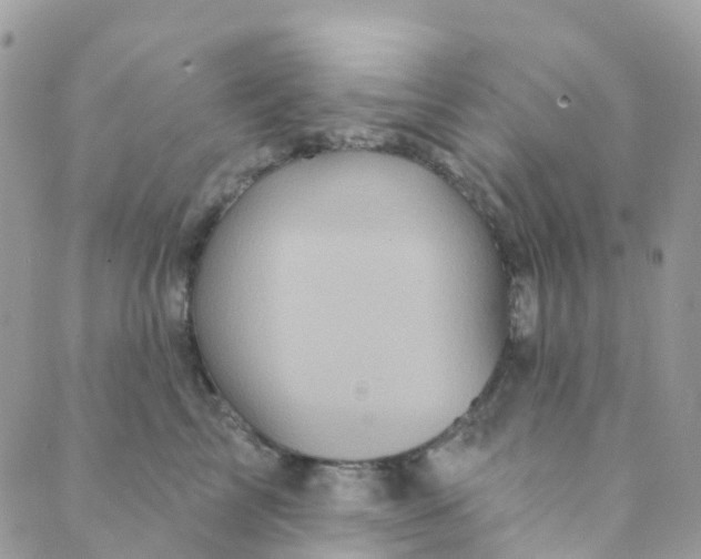 X0000089440713200707061408