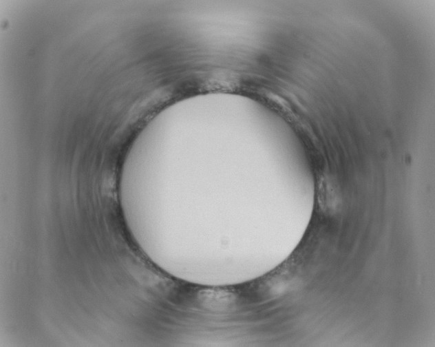 X0000089440714200707061408