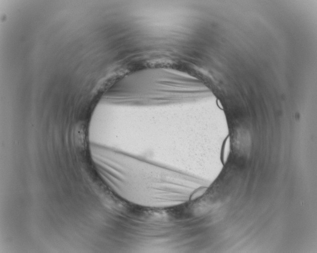 X0000089440715200707061408