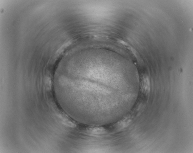 X0000089440716200707061408