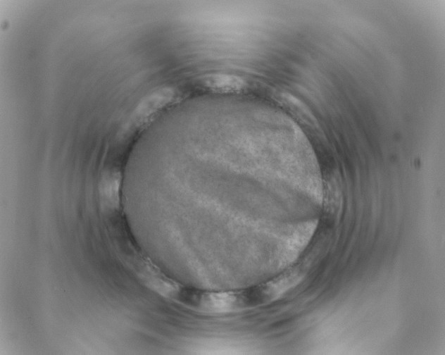 X0000089440717200707061408