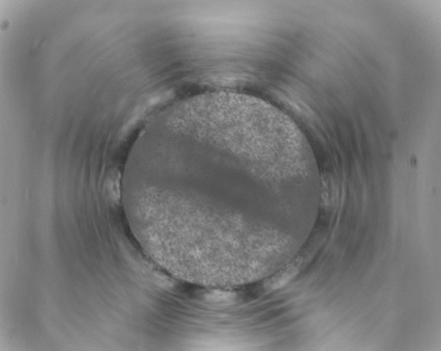 X0000089440718200707061408