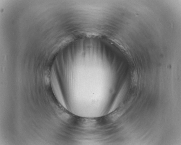 X0000089440719200707061408