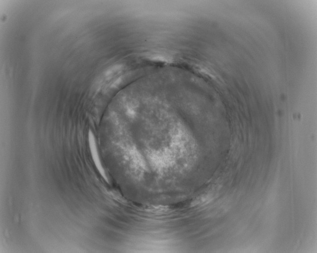 X0000089440720200707061408