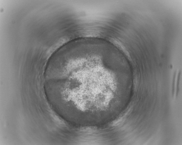 X0000089440721200707061407