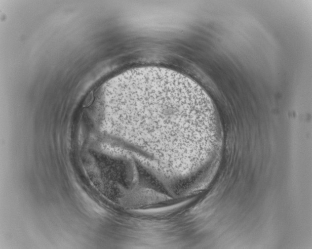 X0000089440722200707061407