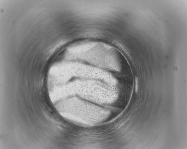 X0000089440723200707061407