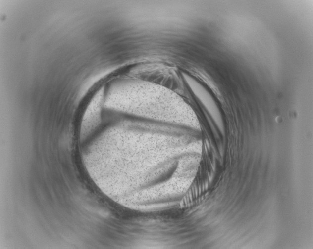 X0000089440724200707061407