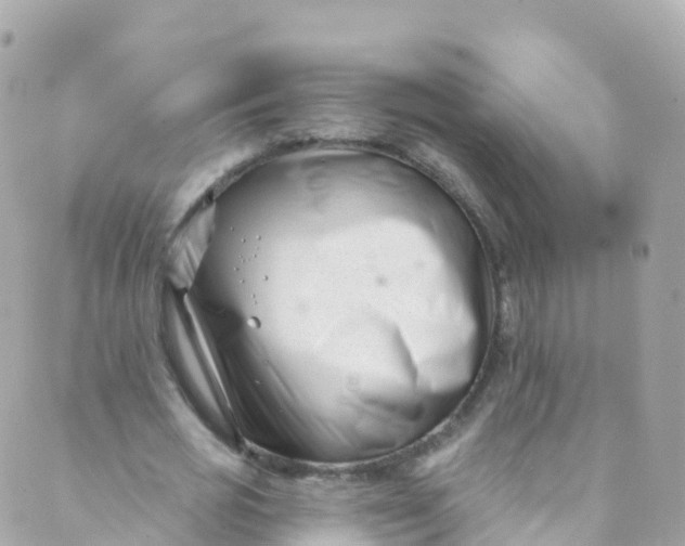 X0000089440725200707061408