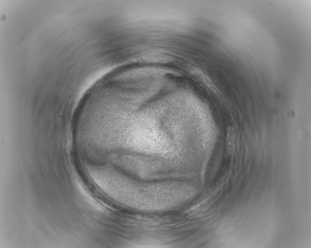 X0000089440726200707061408