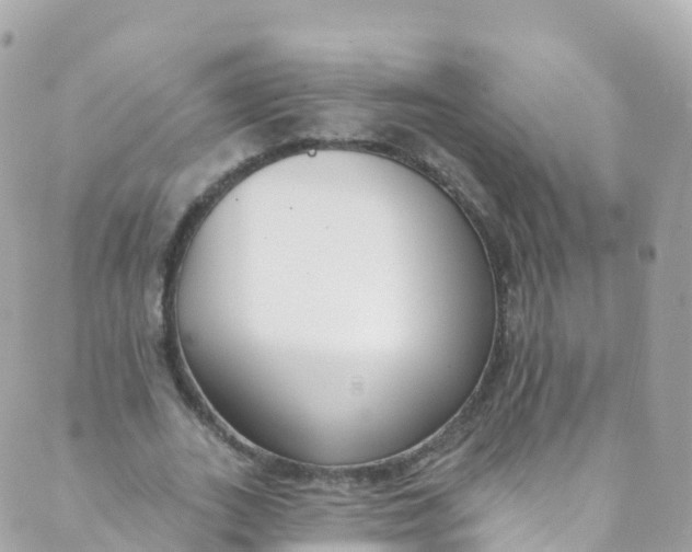 X0000089440727200707061408