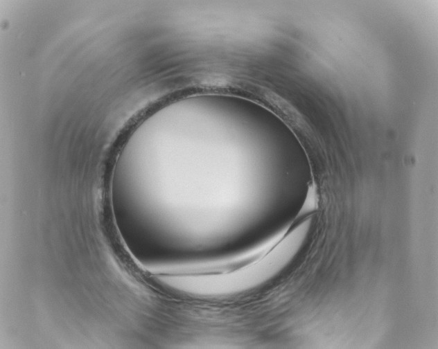 X0000089440728200707061408