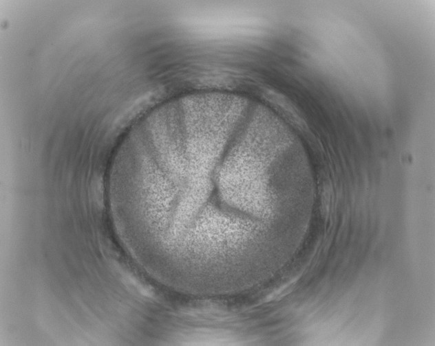 X0000089440729200707061408