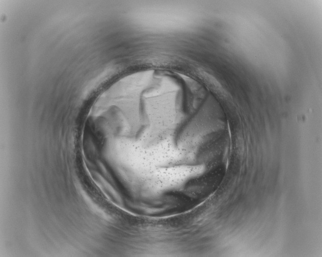 X0000089440730200707061408