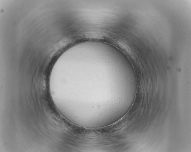 X0000089440731200707061408