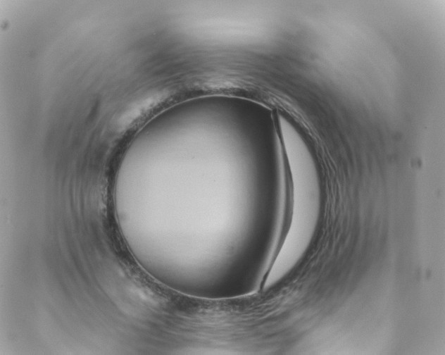 X0000089440732200707061408