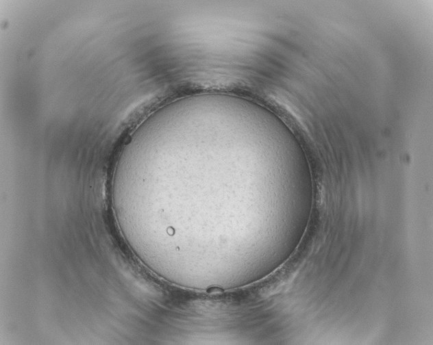 X0000089440733200707061408