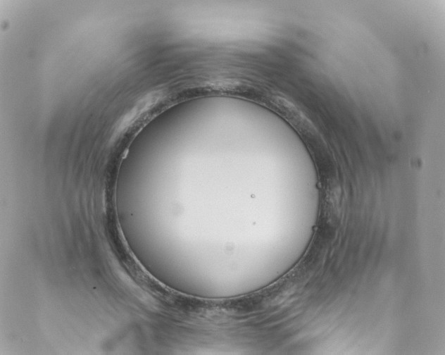 X0000089440734200707061408