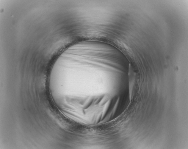 X0000089440735200707061408