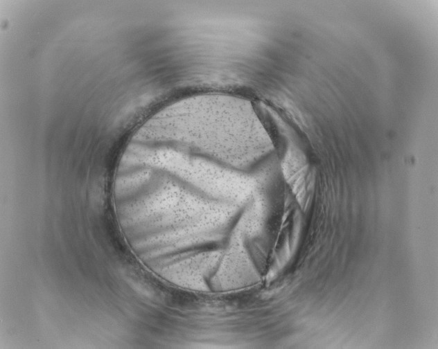 X0000089440736200707061408