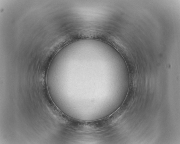 X0000089440737200707061408