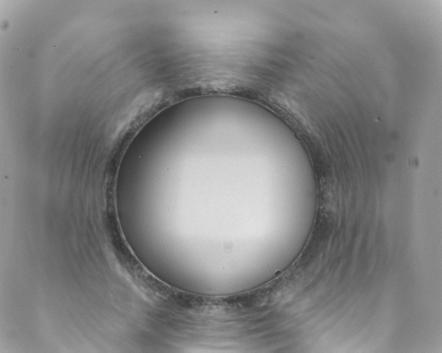 X0000089440738200707061408