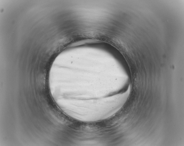 X0000089440739200707061408