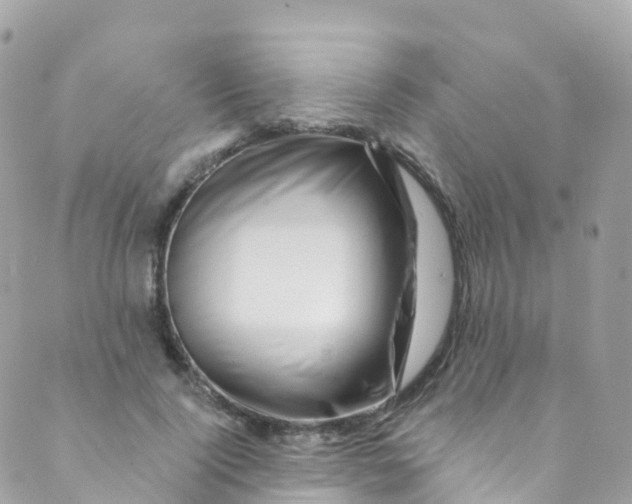 X0000089440740200707061408