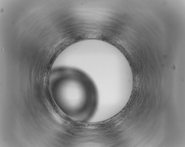 X0000089440741200707061408