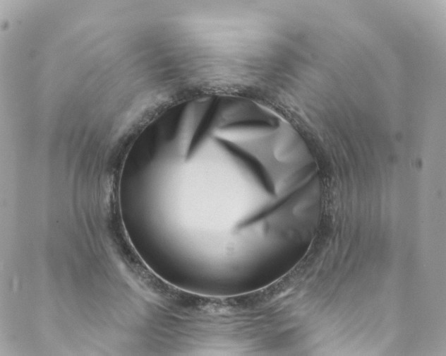 X0000089440742200707061408