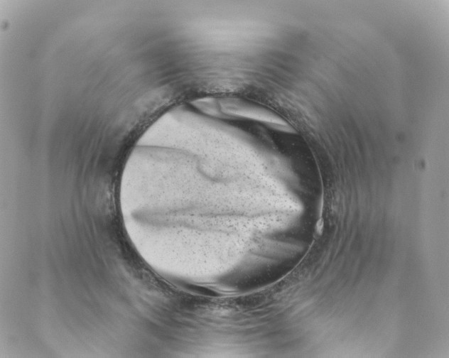 X0000089440743200707061408