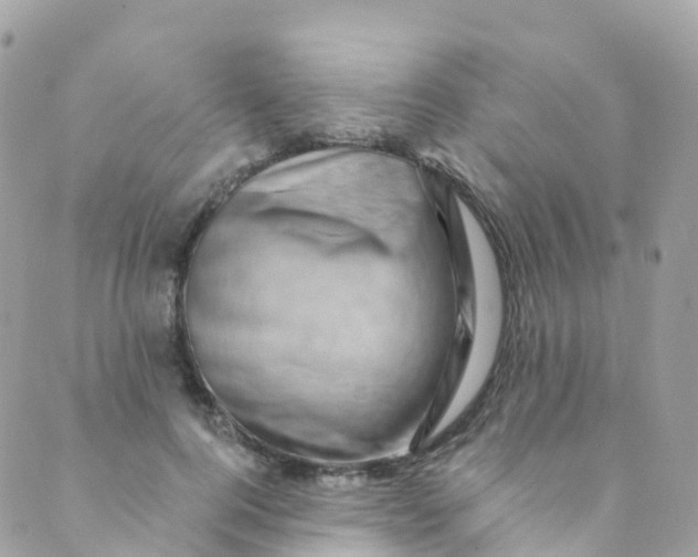 X0000089440744200707061408