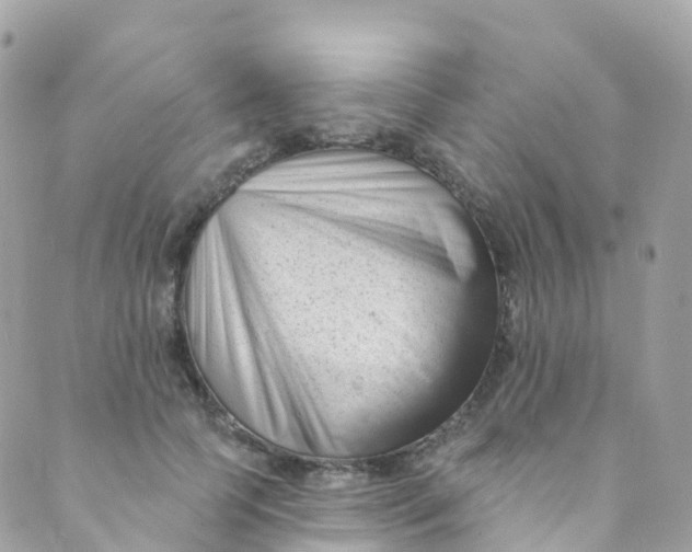 X0000089440745200707061408