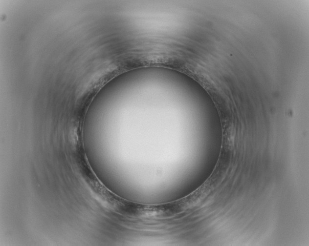 X0000089440746200707061408